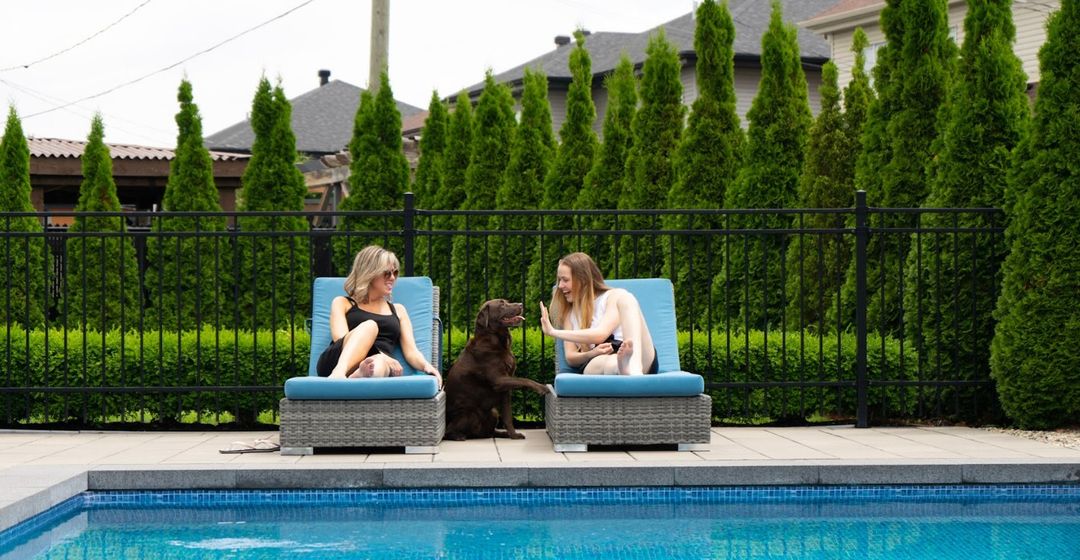 Dogs by the pool